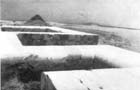 27 (1958) tab. IX fig. 11