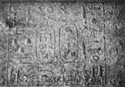 38 (1969) tab. XLVII fig. 67
