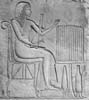 45 (1976) tab. XIX fig. 7