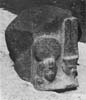 49 (1980) tab. XXXII fig. 4