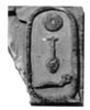 52 (1983) tab. XVIII fig. 21